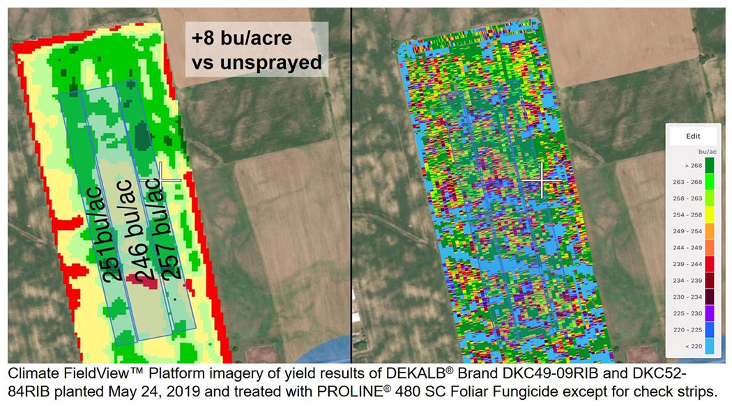 Climate FieldView™ Platform imagery of field treated with PROLINE® 480 SC Foliar Fungicide